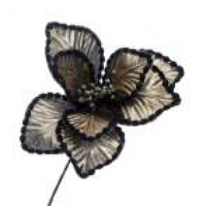 BLACK POINSETTIA - 831-AMX001-1336A