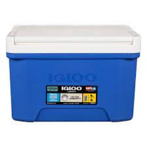 IGLOO 9QT COOLER