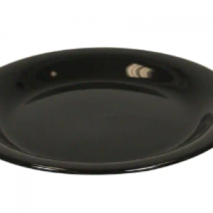 DINNER PLATE