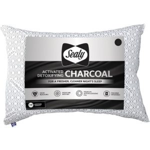 2 SETS CHARCOAL PILLOWS
