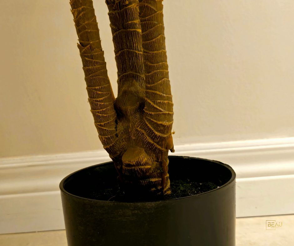 Dracaena Marginata Artificial Tree (Dragon Blood Tree Red) 5.6ft - Image 2