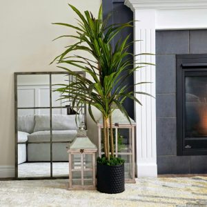 Dracaena Marginata Artificial Tree (Dragon Blood Tree) 4.75ft