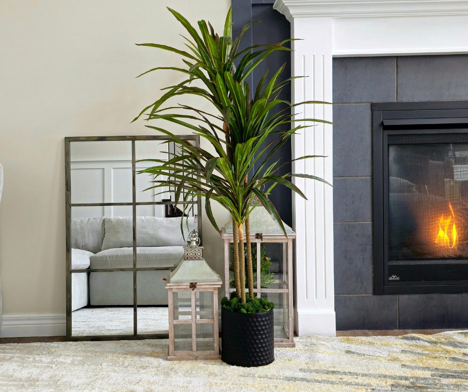 Dracaena Marginata Artificial Tree (Dragon Blood Tree) 4.75ft