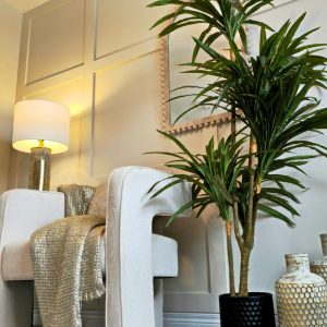 Dracaena Marginata Artificial Tree (Dragon Blood Tree Red) 5.6ft