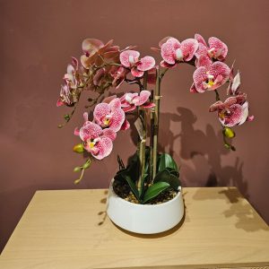 Purple-spotted blooms orchid arrangement